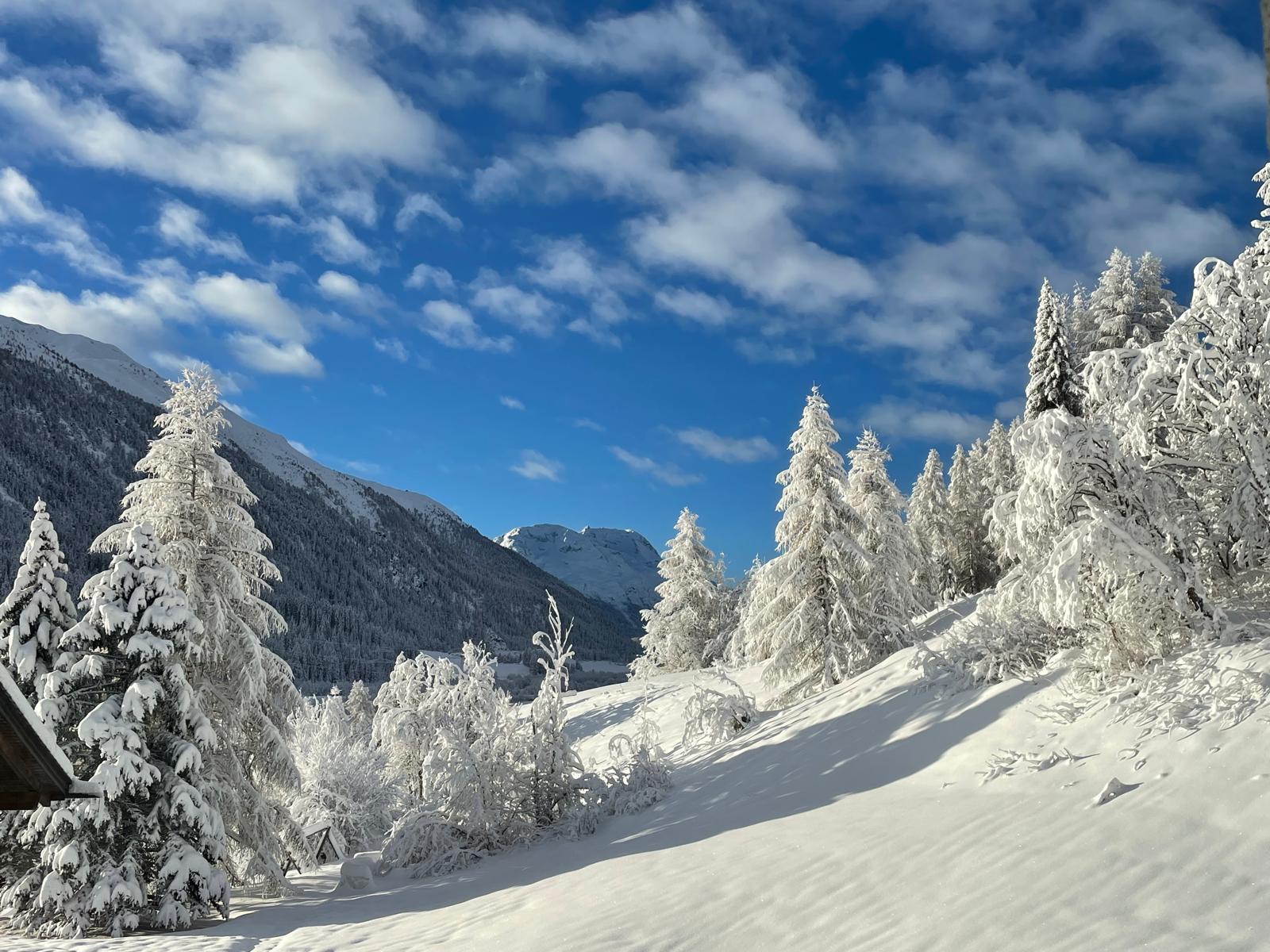 Bild des Teammitglieds